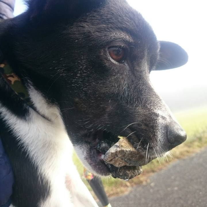 8410a8ba 26e7 4d28 84b2 83020723762f