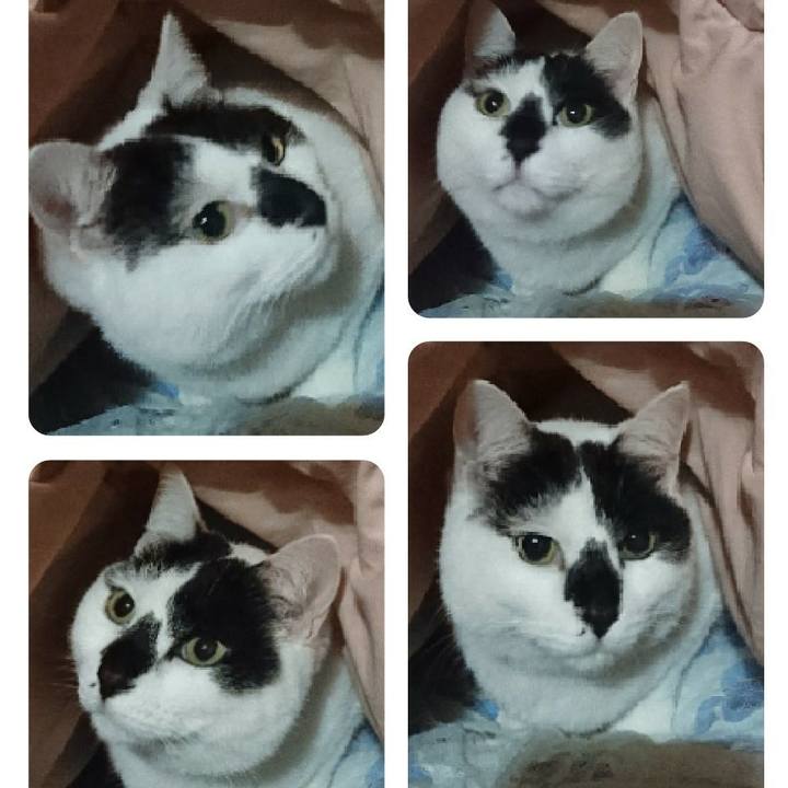 8410c294 6a07 4205 bf50 84fe8b575a6b