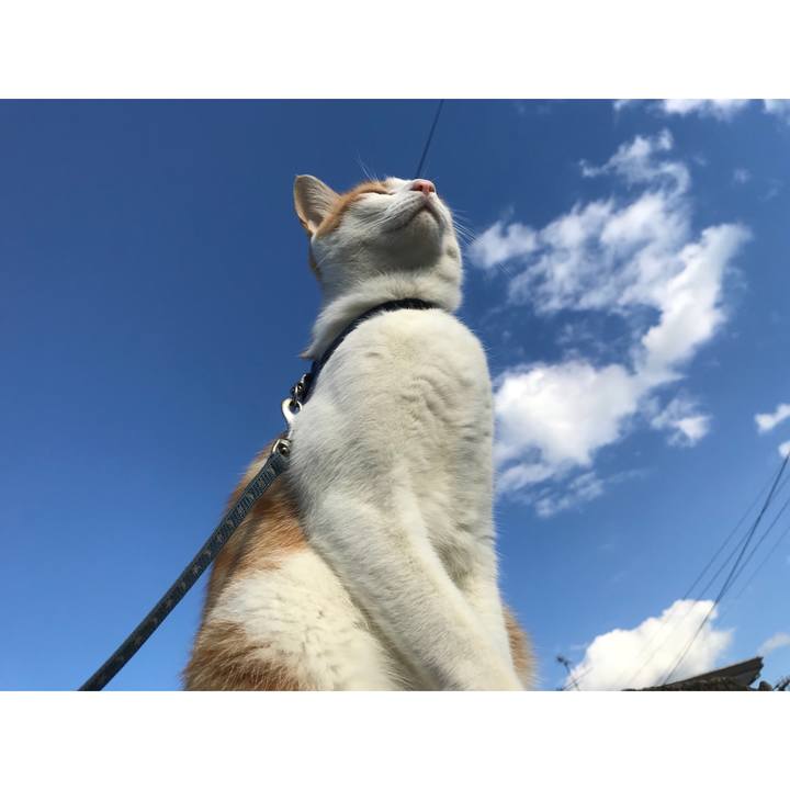 841137e8 3492 4d93 87c9 bf4be21f301f