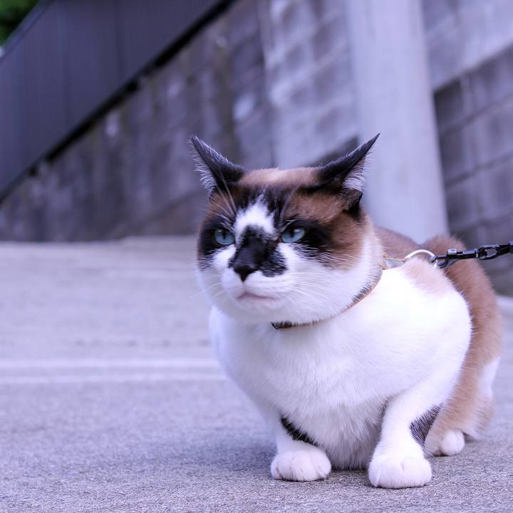 84116712 ced2 4583 9d8d 9d350cf61e13