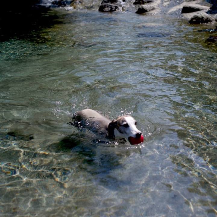 84123206 9345 4dd1 929d f2e28e5c1fa3