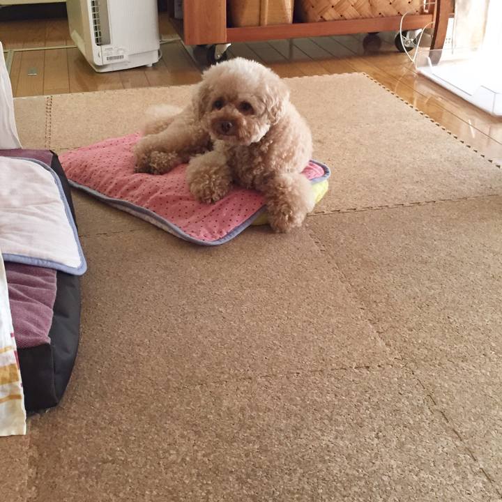 8412516a f6b9 4148 8d88 fa1bba395d13