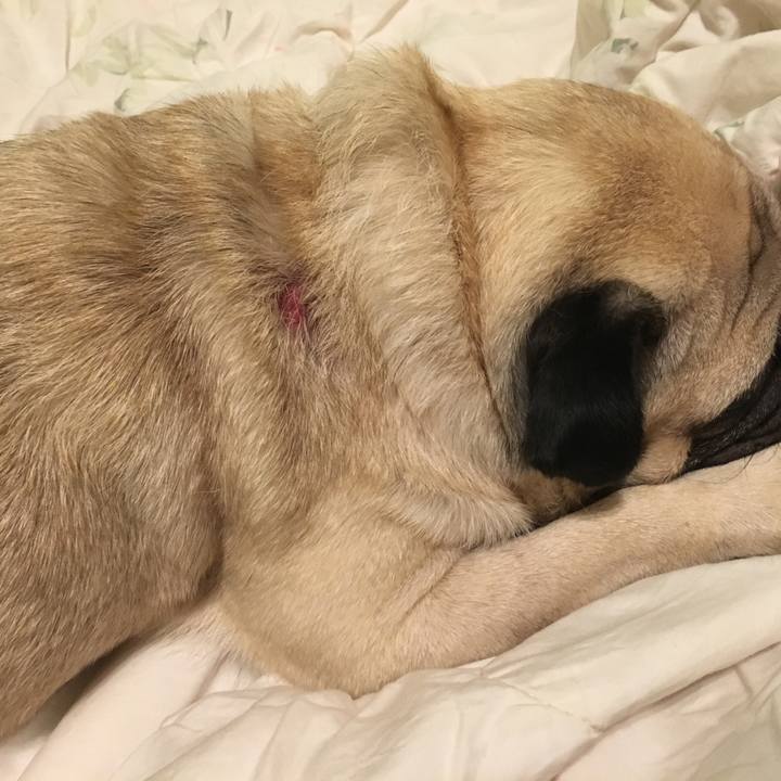 841325e0 ba70 4f1e 9088 3538f46acf66