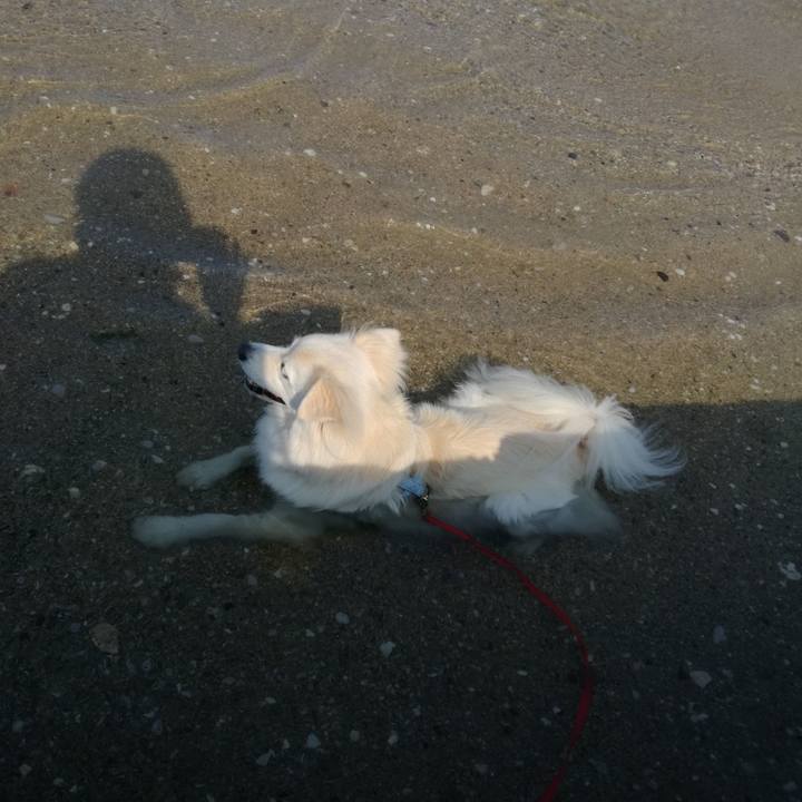 84132b6b 34c6 4e32 bdc0 b3a6ea893b4c