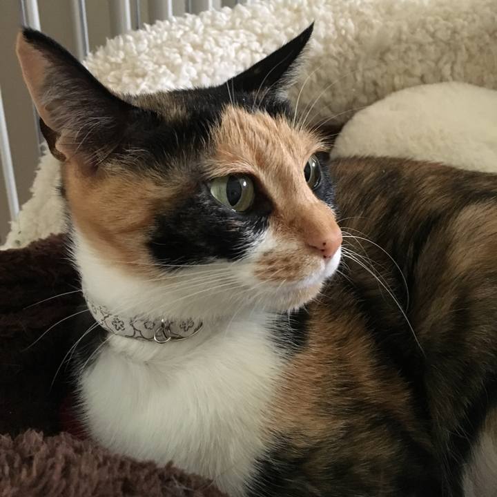 84139bd5 1eb0 4263 8ec7 76079994aefb