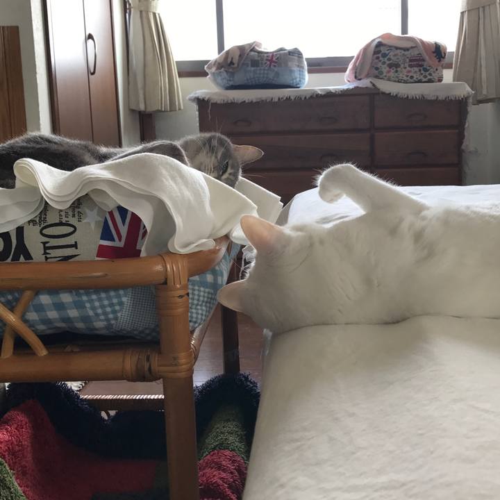 84142170 be9a 4962 9b83 f77260bc5d19