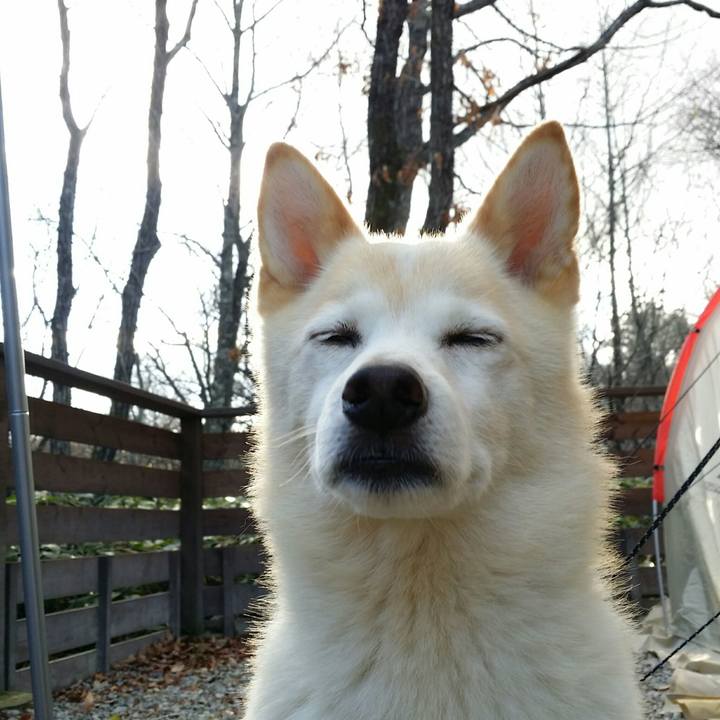 84156c04 6b9d 4d5b b5ca 195d09a4a596