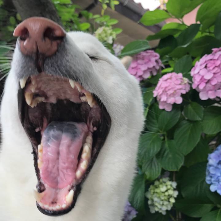 84158a6a e7a4 4ce4 aae3 1253ff925730