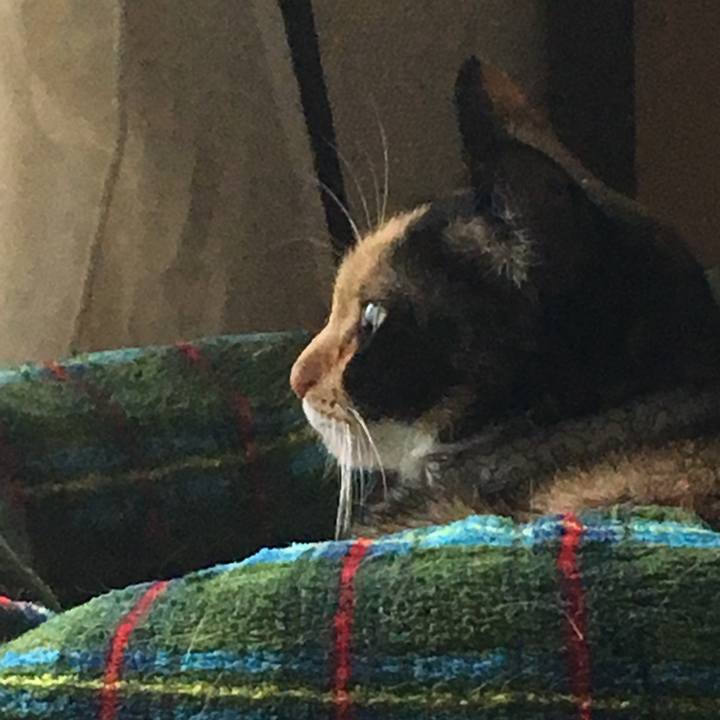 8415cdaf c400 4c2a a549 0e7c3bd0a91c