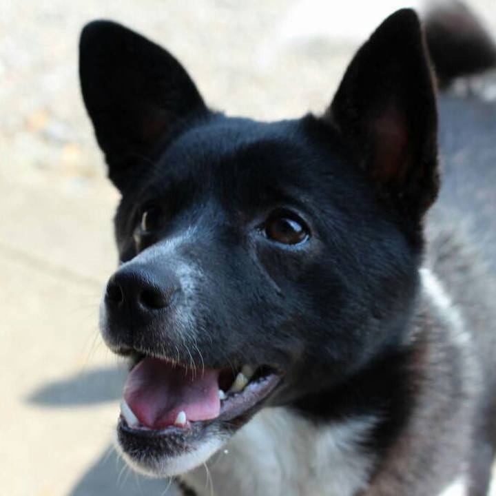 8416a284 d05d 4089 8107 ebc7078781de