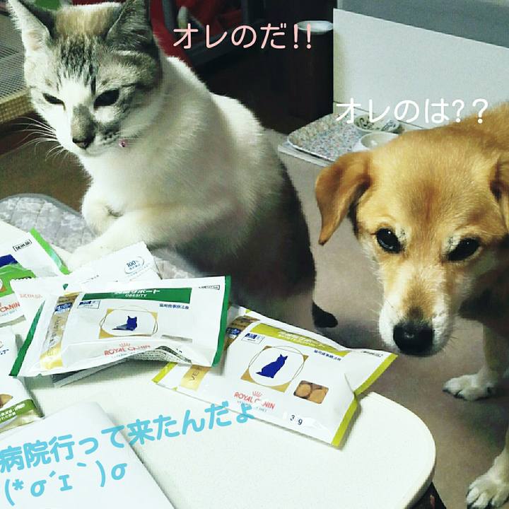 841717ca 054f 4e3c b9e1 589c33d2f791