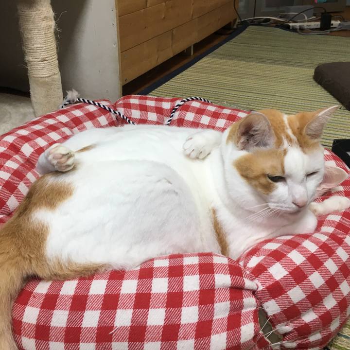 84171aa1 15ce 44ea b7ad bbca19c36733