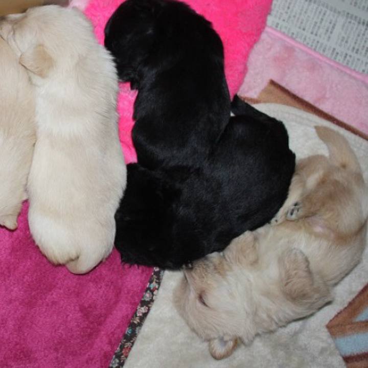 84173868 dc1c 4f17 8d4b d31e961569ae