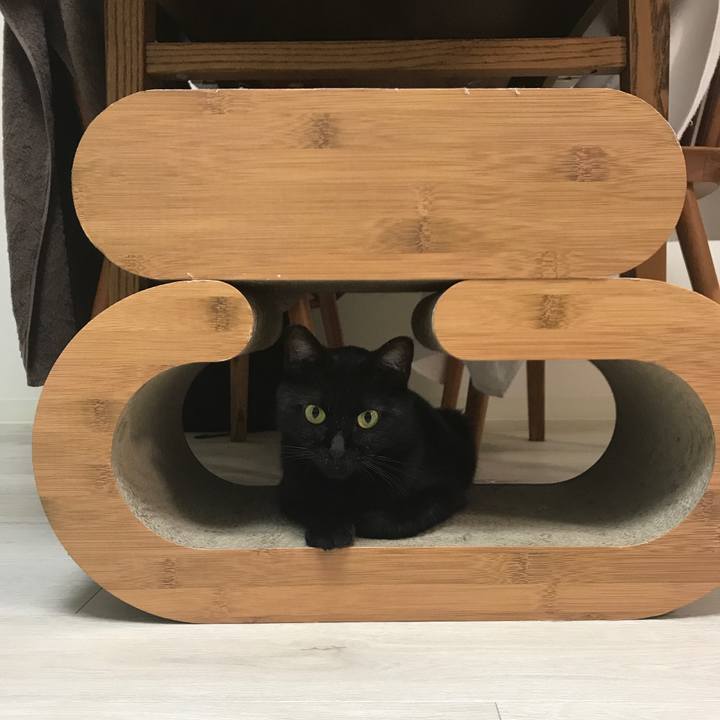 8417443e cf1a 42b7 b895 1bf7be65cc8c