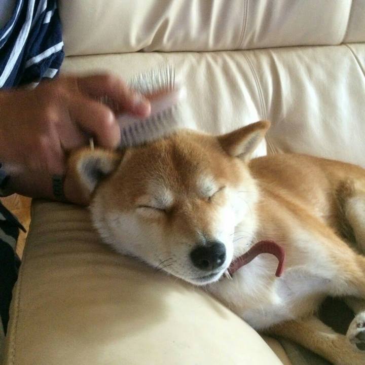 84178da6 3a5e 4a05 b9ad a6bb6a462673