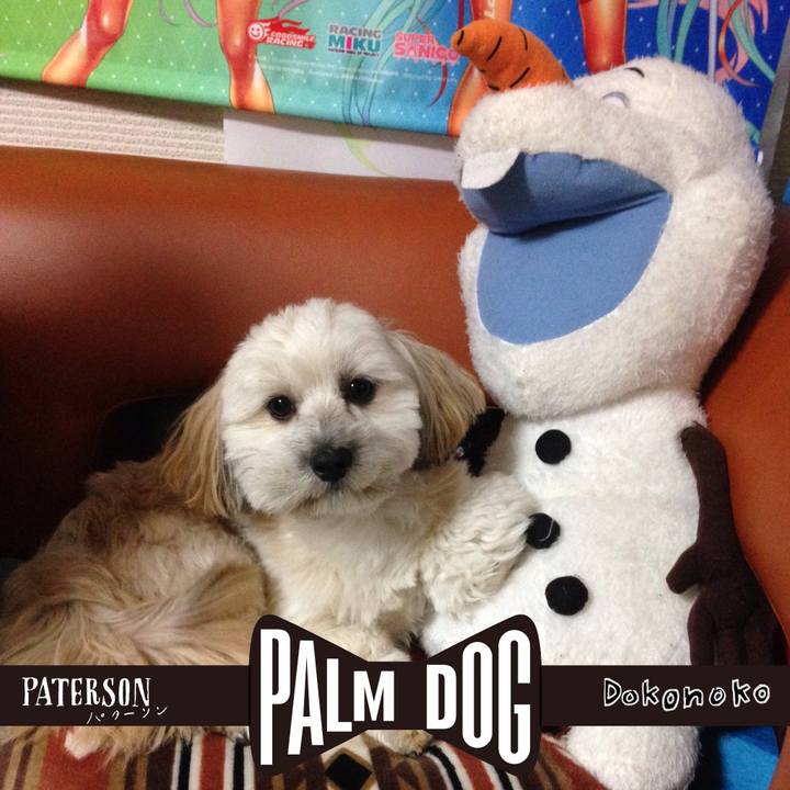 841793b3 de5f 49c4 af70 b3a223ed7d47