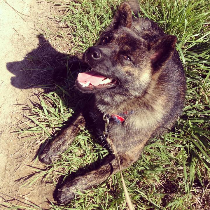 8417e405 6a19 4158 acd7 4c177718a7f2