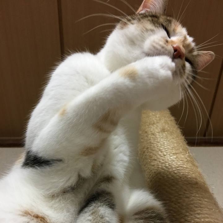 84187b75 e8f9 49b6 b9b2 31e3dacb0e6f