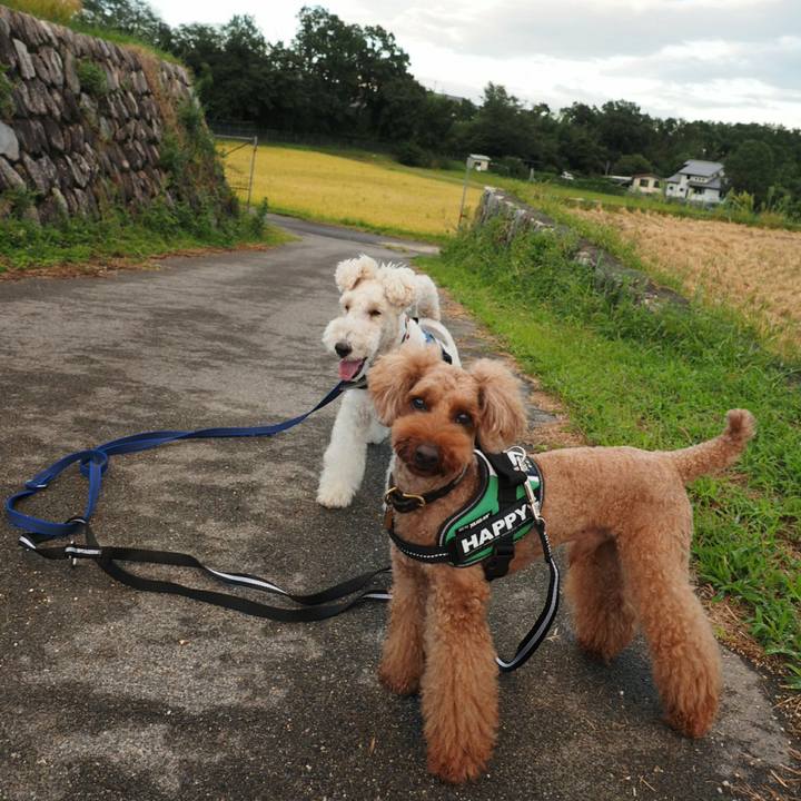 8418a312 5810 4ed4 845a beceb448c30c