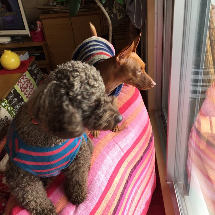 84191c7c 96b1 4d82 b7ce d62782d59412