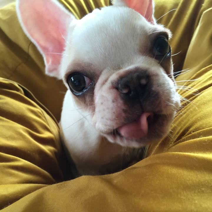 8419268e 1a96 41a9 8269 08271cf0e505