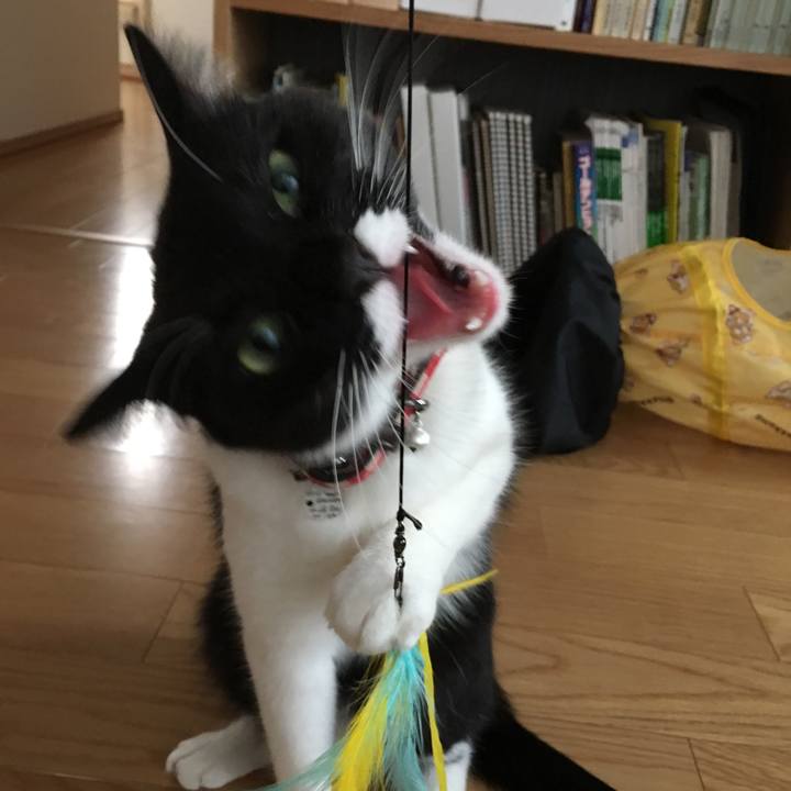 8419f728 45a1 40d5 801a 03a6eca7d4f7