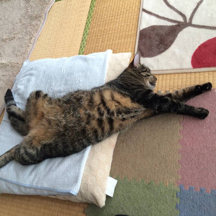 8419fc05 eb12 4ac5 bd1f 89b1a646ebae