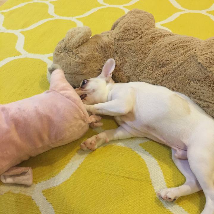 841a0a77 e197 4e2b 801c 6b9b083bb1aa