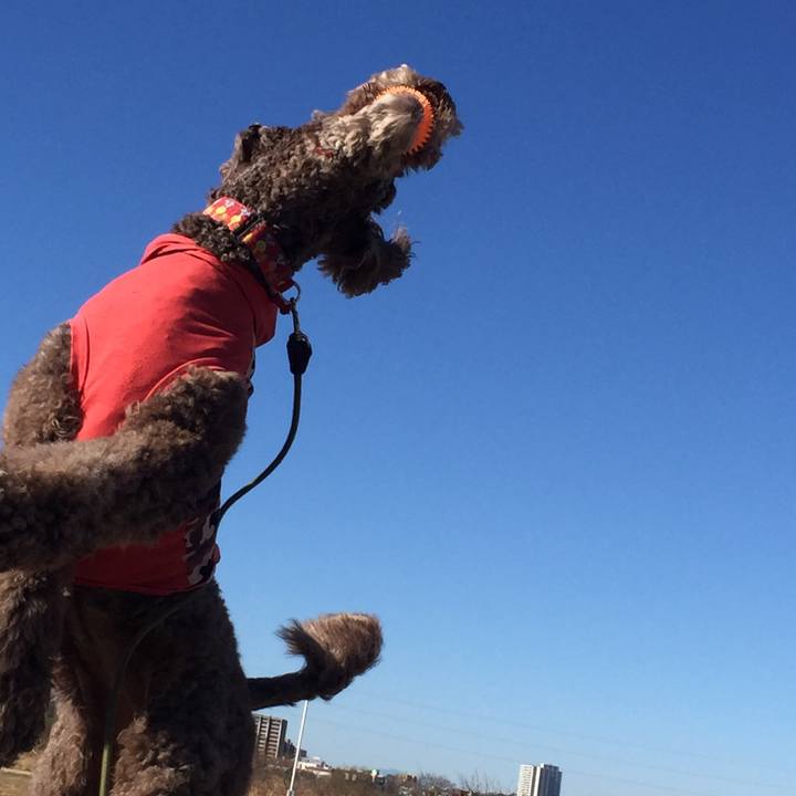 841a2cf8 fdc2 423c b1f4 327949408a68