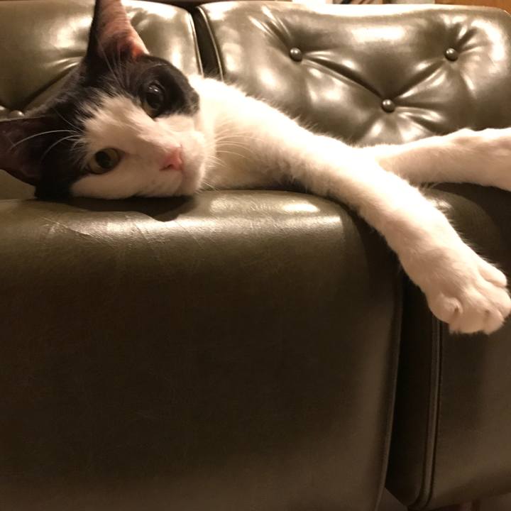 841a5f0d 555c 47c2 b711 01d20307e7f5