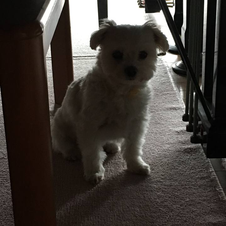 841abcdc 63ee 4841 8234 157c35f96541