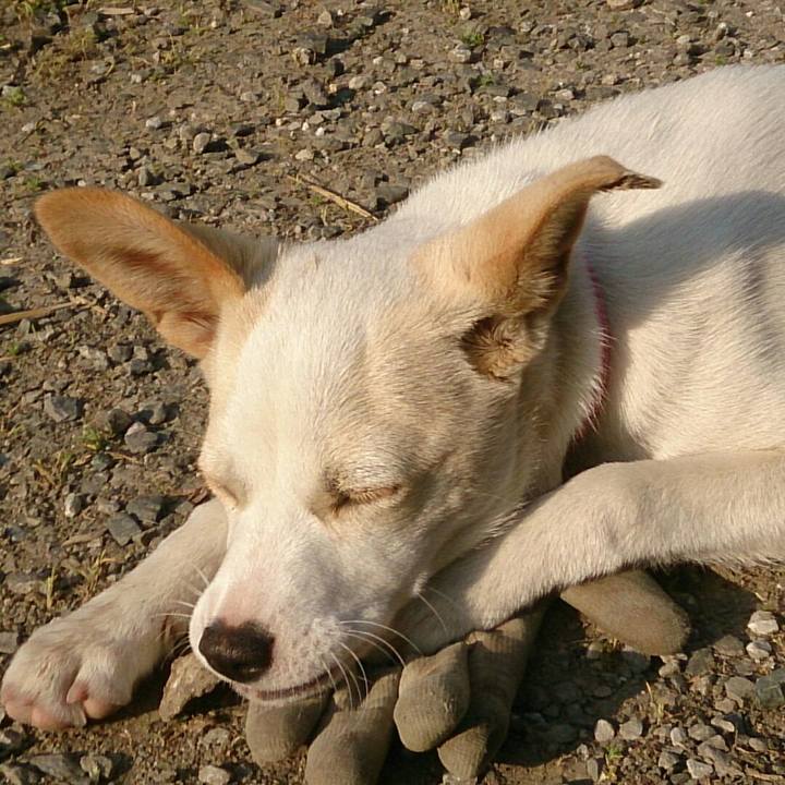 841ac517 2dbc 4caa b51d 57736552e956