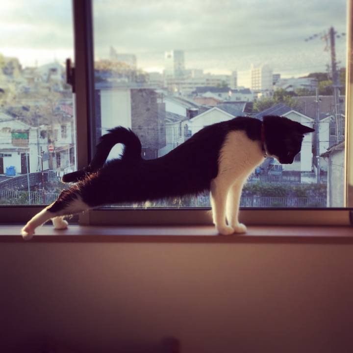 841b0432 fdce 4e15 9a7c 9ef9b558ed4b