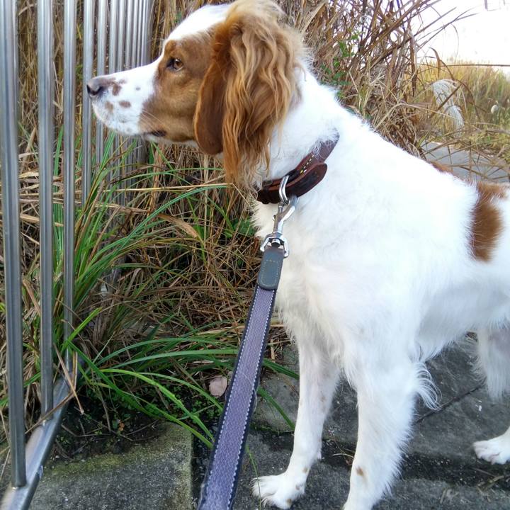 841b28e3 36b9 4d2a acd1 b8a5218a5bc8