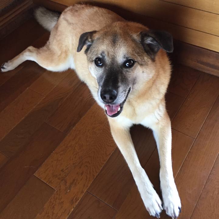 841b4390 54b9 4cf7 8d90 81505c7f5db5