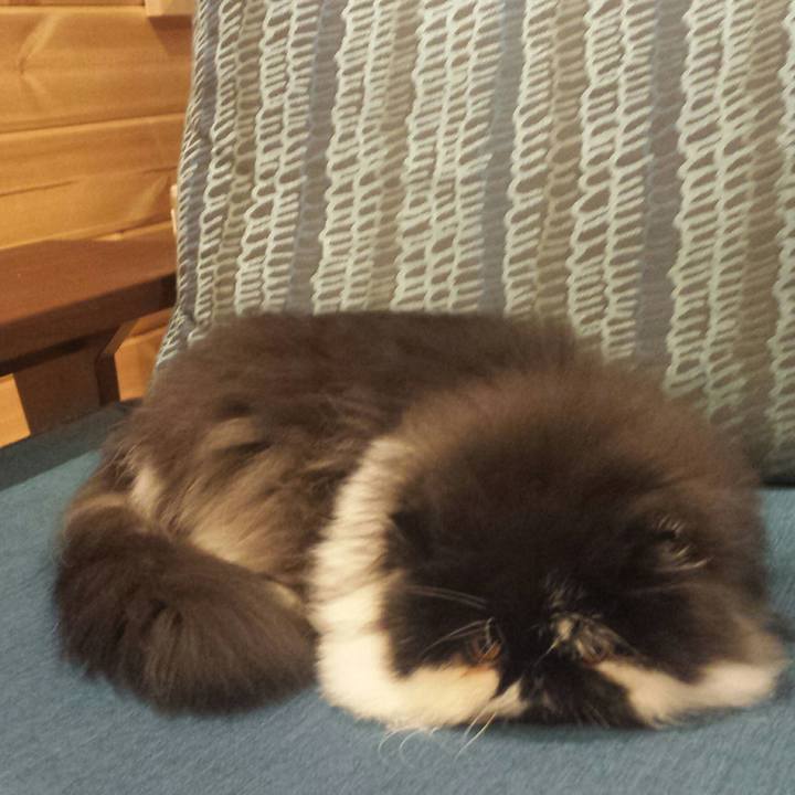 841b8821 aca6 4efb 93e3 5ed996ed1e0c