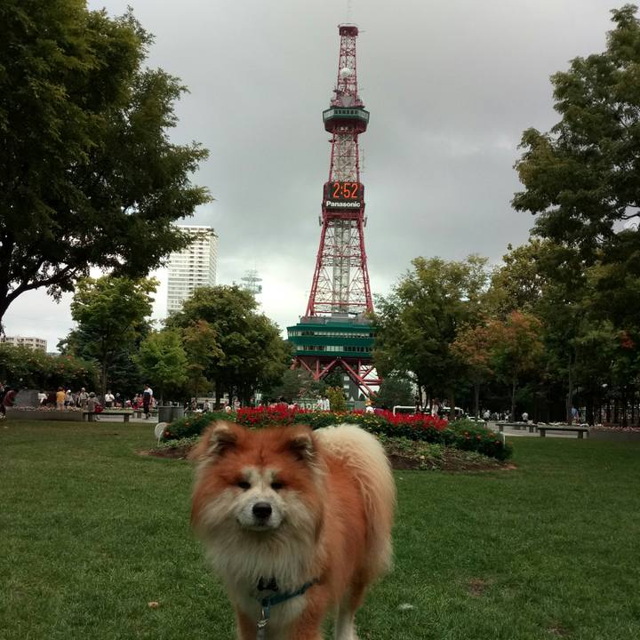 841bec40 4562 4fe7 9a9f abbd7bccd0cc