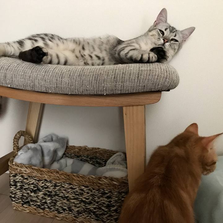 841c6f3d 1692 4637 8673 9091a524c696