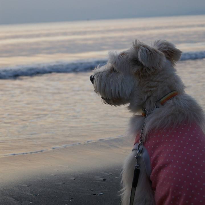 841cb187 6b30 4186 ae54 f89b4797634b