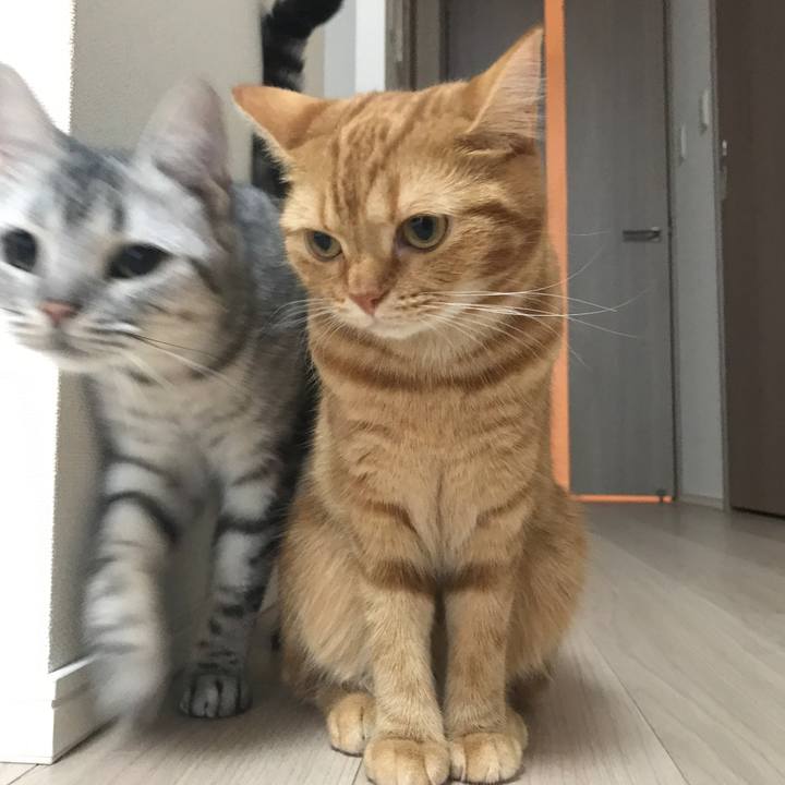 841ccf58 f6b0 432a 8387 c06c500ced66