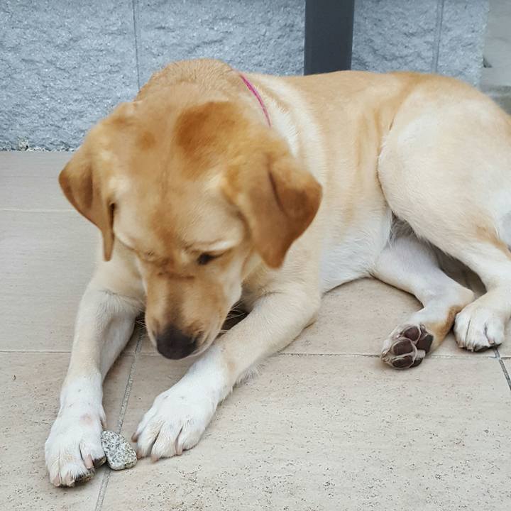 841db34f 58f2 4faa af0c 0b5306fc689b