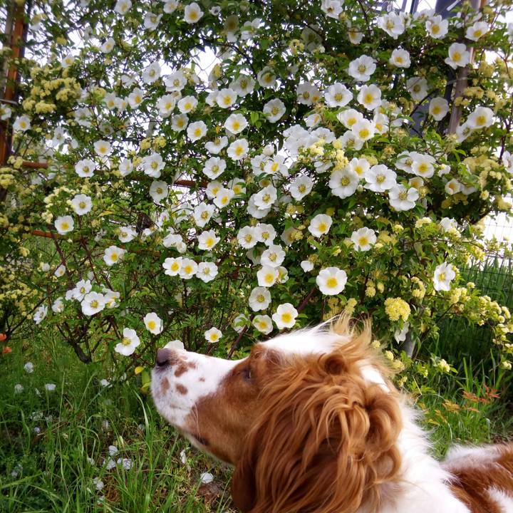 84200495 b981 45fa 8111 ead48ac9a945