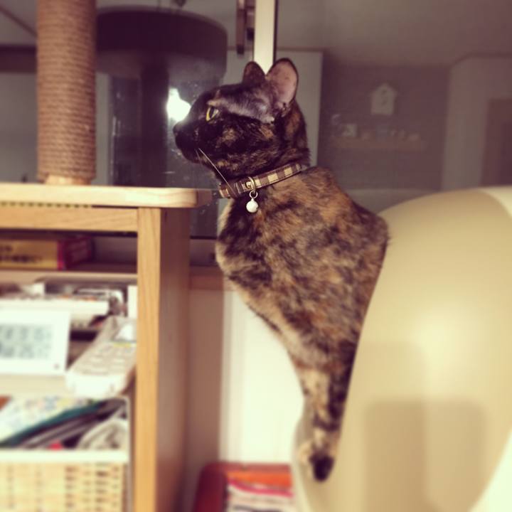 8420054e cb06 467d b6f1 b1a2e7fd9b1d