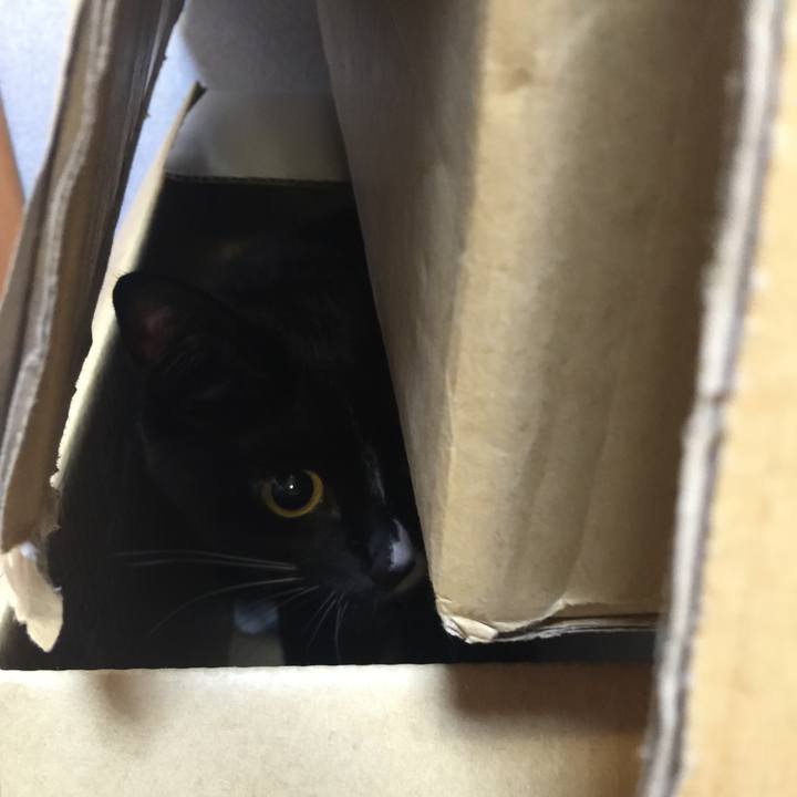 842027c1 1b2c 48a8 954b c32c557fc07a