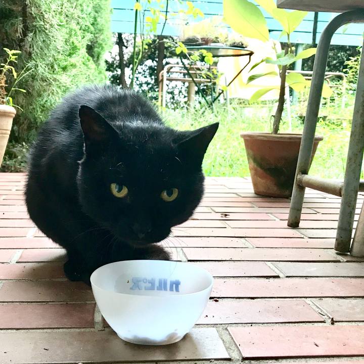 84204d4c 80a1 40c4 b07b b1467320ed1a