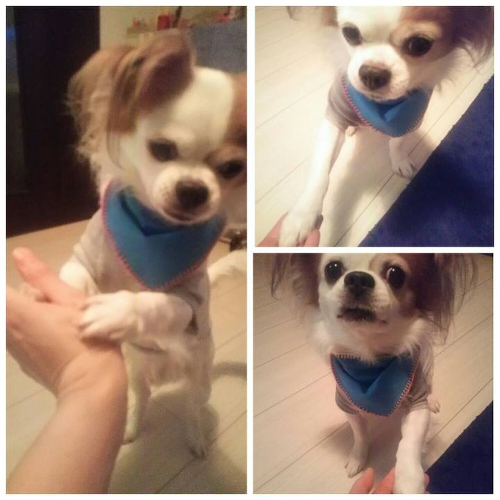 842051ff e831 424b 9c87 874a8f96e4d7