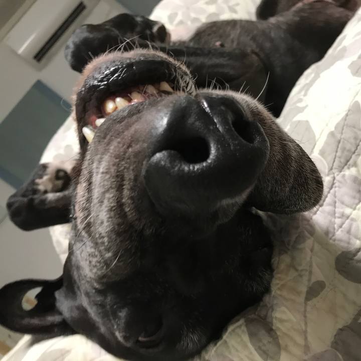 842058b2 e2d2 41fc abff 26aaeb9c4605