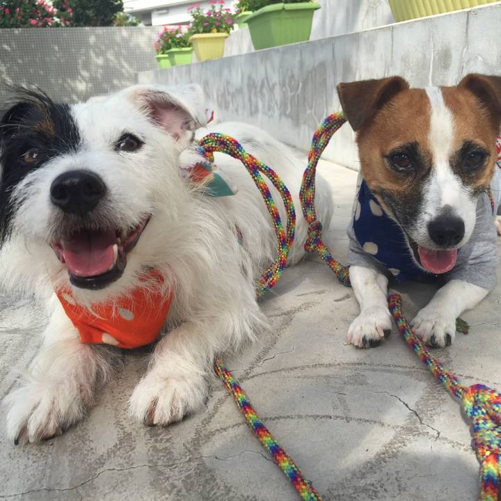 8420f5e4 e6b4 457f adc2 070d489d9dea