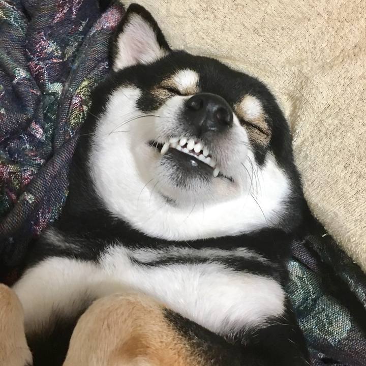 8420f6ab 883c 4bb3 aae1 0864e3ff6fc0