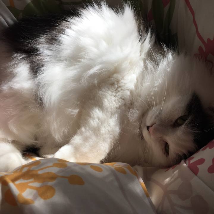 84213923 510a 4064 a917 9abf5b44bd18